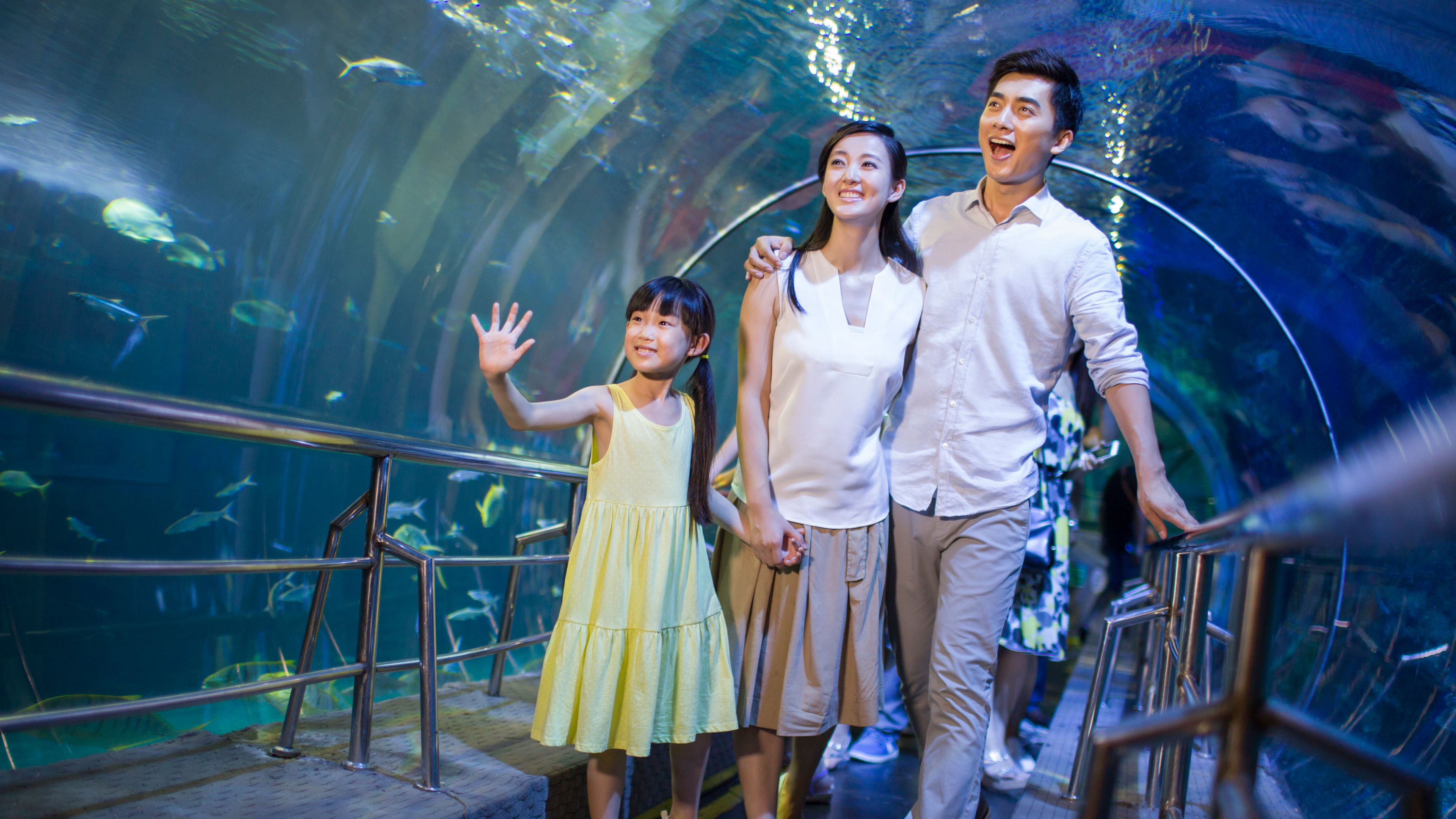 Young Family sa Aquarium