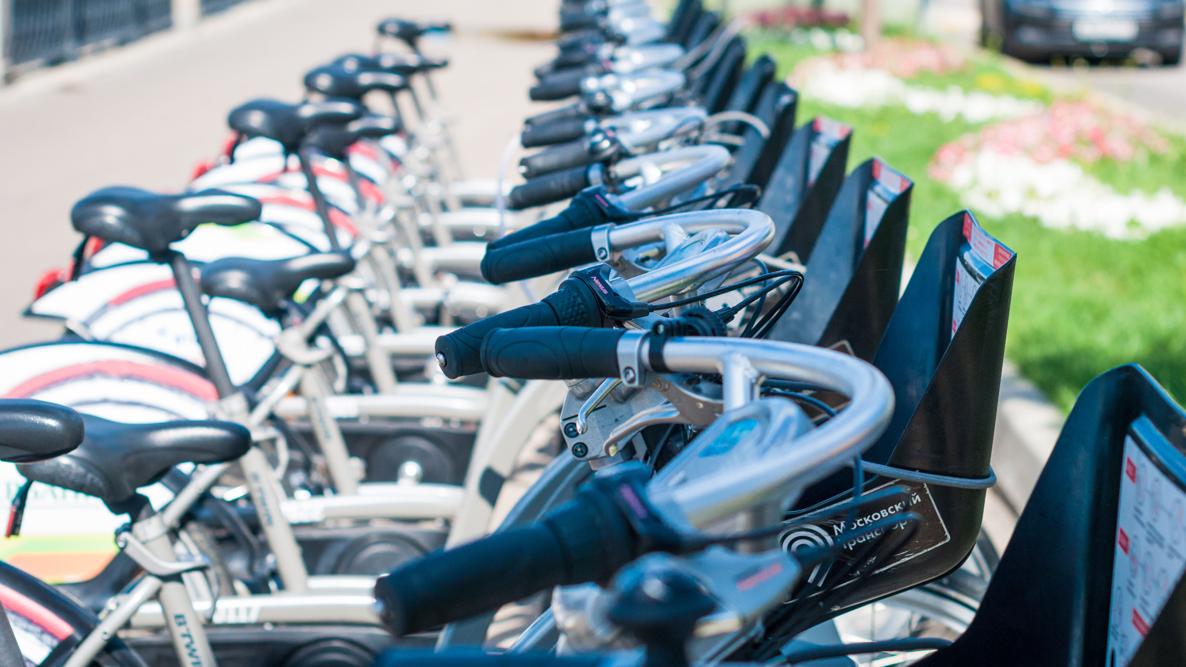  City bike parking. Bicycles for rent on city 