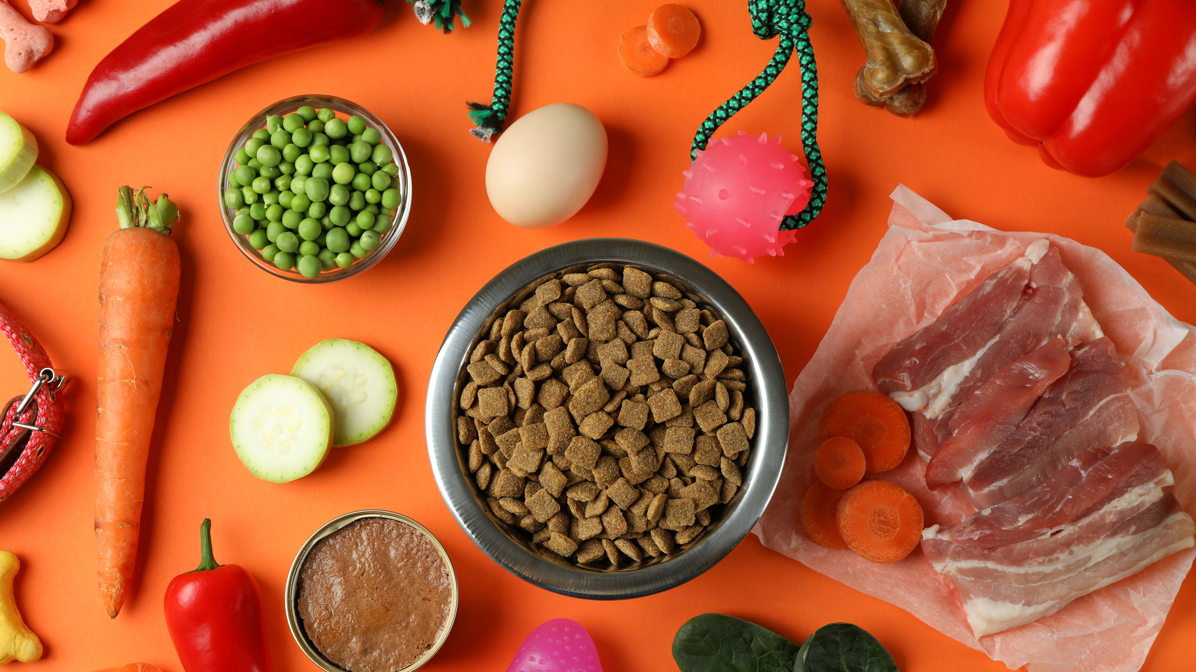 Various dog food arranged in a table 