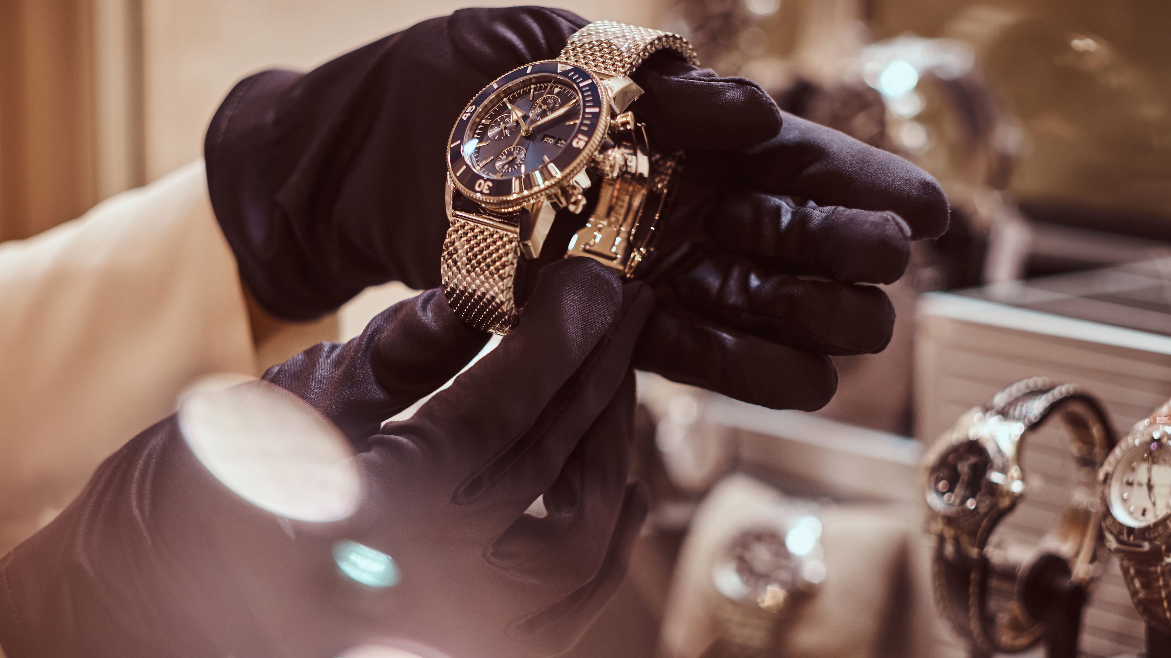 Branded watches displayed elegantly in a showcase