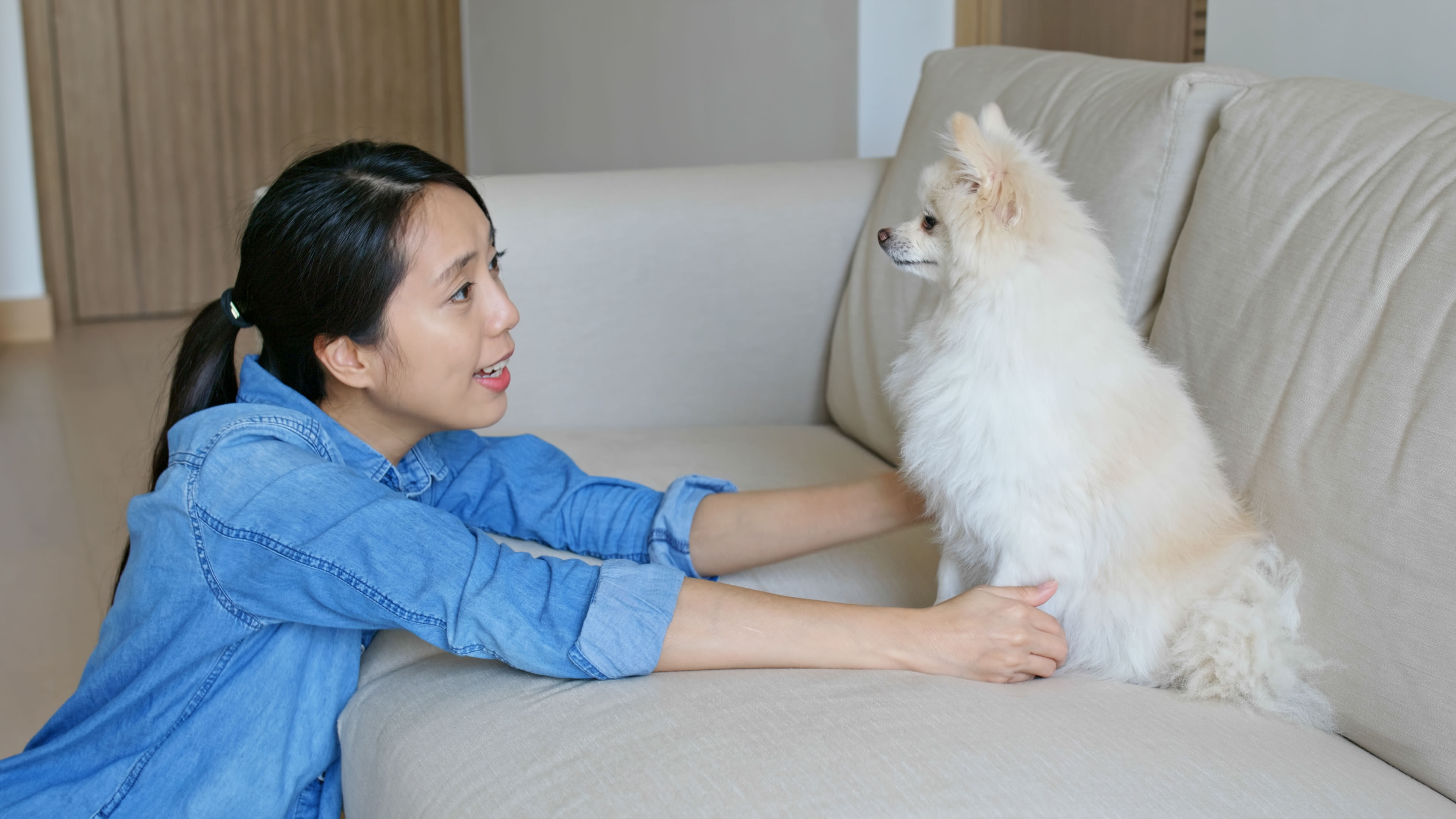 Wanita memeluk anjing Pomeraniannya di rumah.