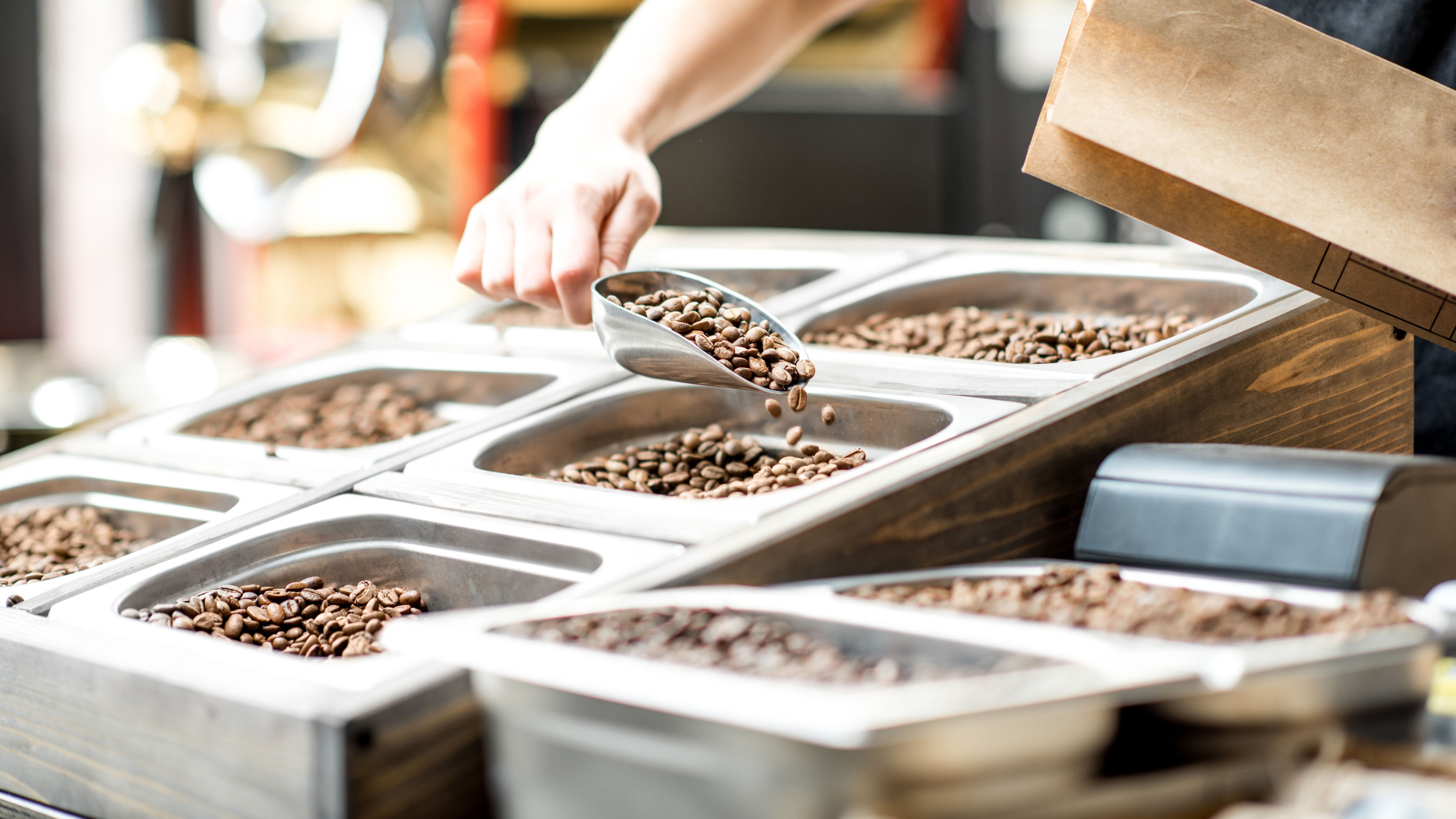 Portrait of neatly arranged coffee beans being picked from a tray.