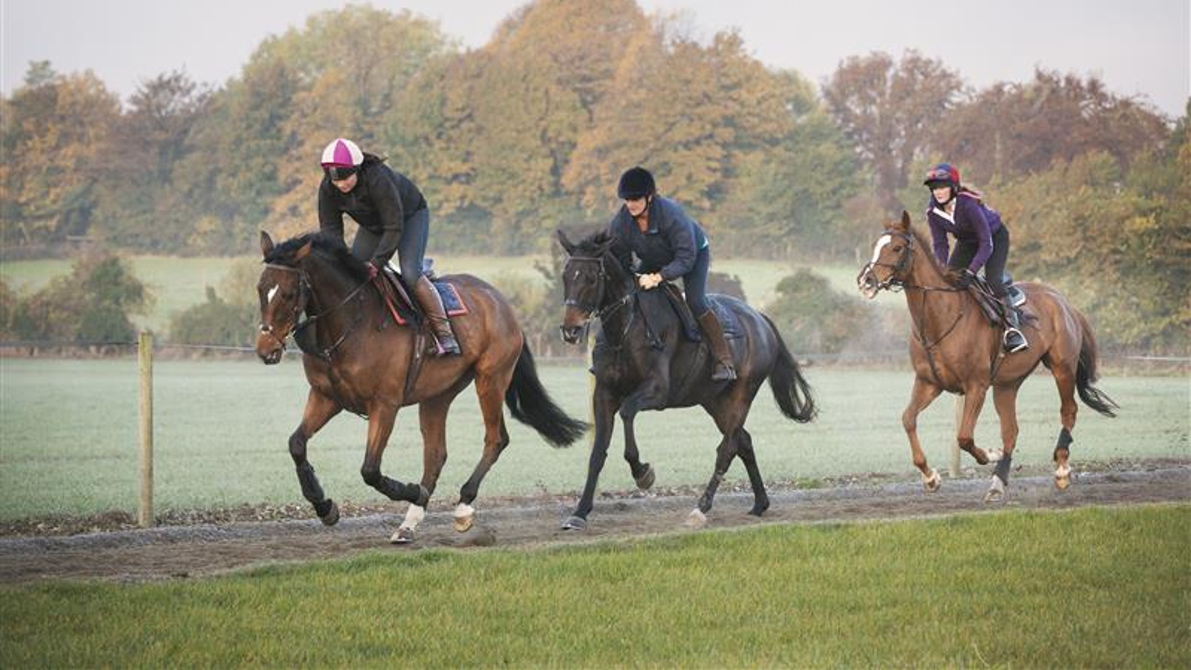 A horse racing event.